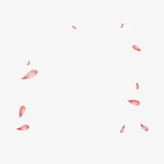 花瓣漂浮物免抠