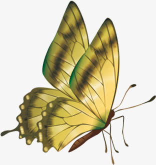 绿色蝴蝶端午节免抠