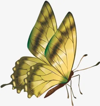 绿色蝴蝶端午节免抠
