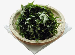 端午节艾草叶免抠