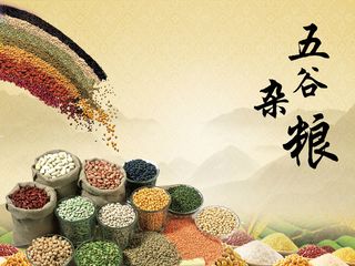 缤纷多彩五谷杂粮海报背景素材高清