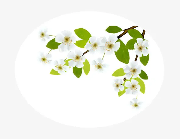 梨花免抠