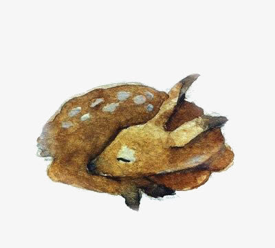 梅花鹿免抠