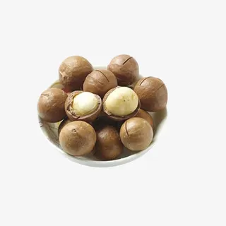 澳洲夏威夷果免抠