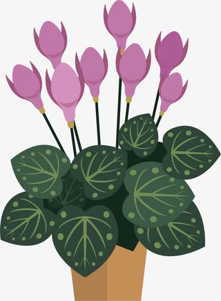 盛开花朵PNG下载免抠