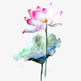 荷花水墨国画免抠