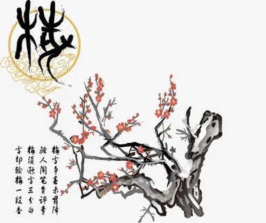 手绘梅花免抠 手绘梅花免抠
