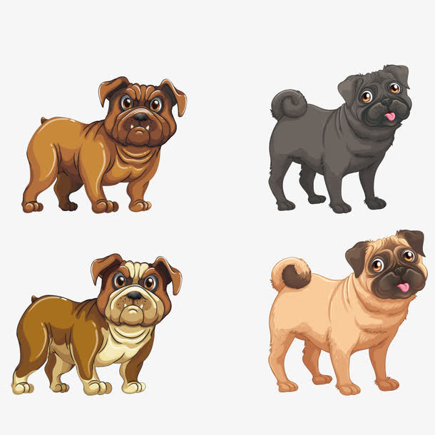 矢量八哥犬免抠