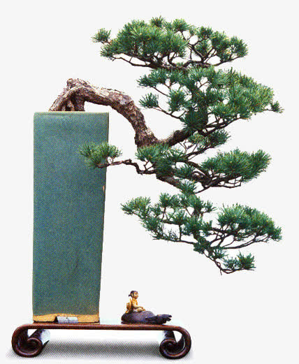 松树盆景免抠