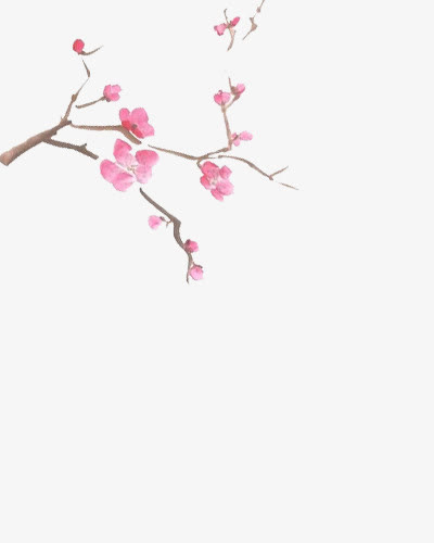 树枝上的粉色花朵中国画免抠