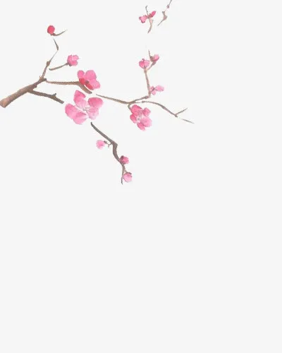 树枝上的粉色花朵中国画免抠
