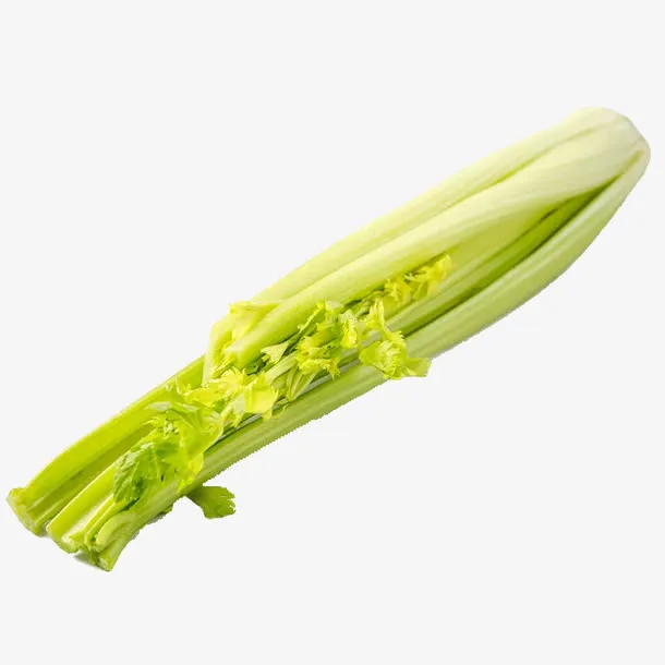 芹菜素材免抠