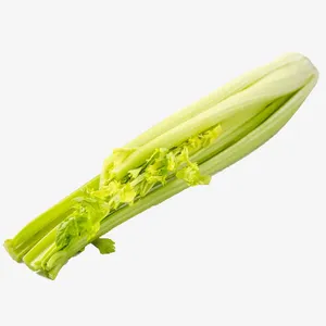 芹菜素材免抠