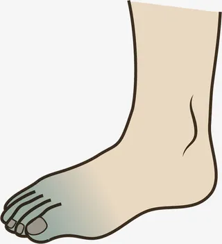 一只大脚免抠