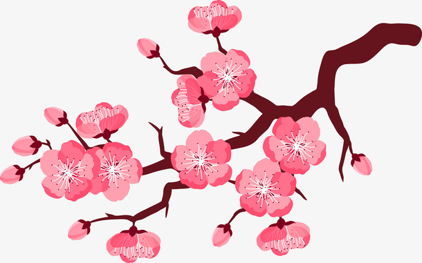粉色的梅花免抠