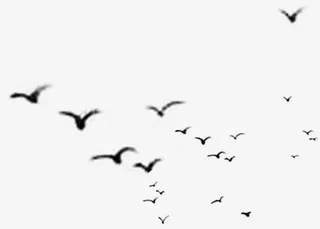 中国风黑色纷飞大雁免抠