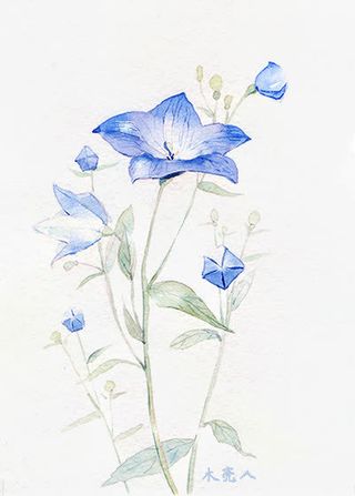 唯美中国古风水彩插画免抠装饰其他装饰图案元素