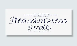 婚纱照相册装饰文字免抠