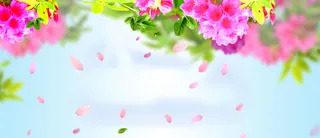 淘宝春天唯美花瓣背景banner高清