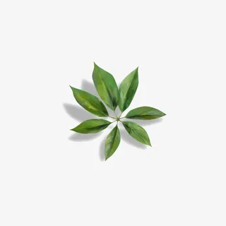 绿色叶片装饰免抠