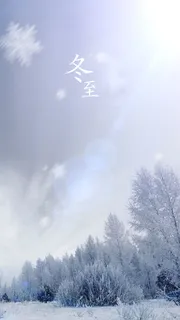 摄像风景雪景冬至高清