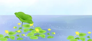 卡通荷叶背景高清