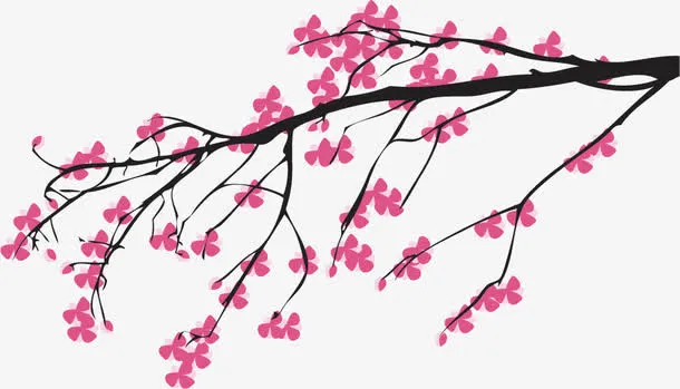 梅花免抠