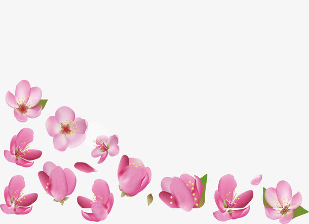 樱花花瓣背景