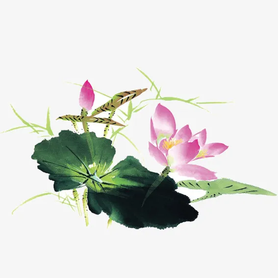水彩画莲花免抠