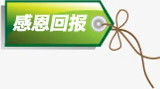 清新绿色感恩回报标签免抠