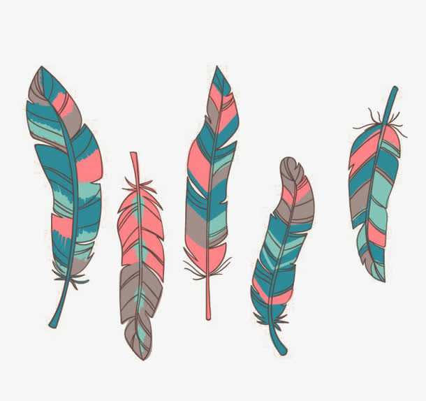 多彩鸟的羽毛免抠