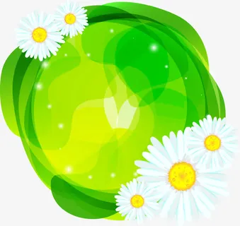 鲜花菊花装饰免抠