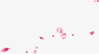 粉色圆形飘落花瓣七夕免抠