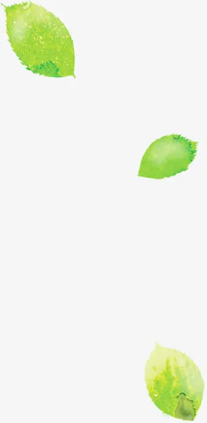 绿色卡通手绘树叶春天免抠