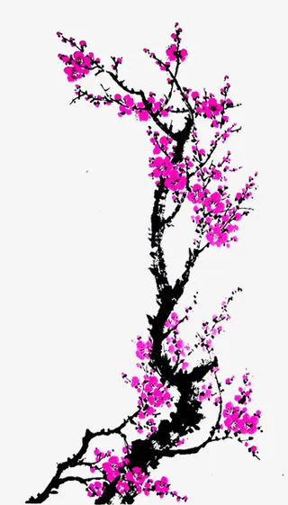 手绘梅花免抠