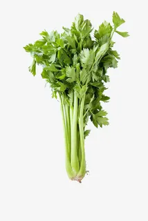 好一朵美丽的大芹菜免抠