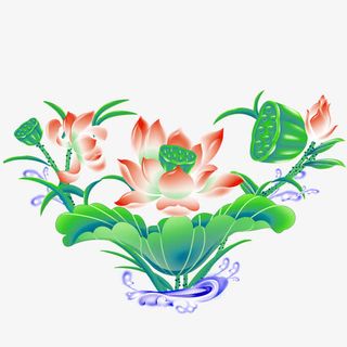 荷花免抠