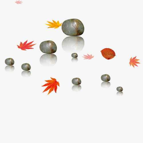 绿叶鹅卵石免抠