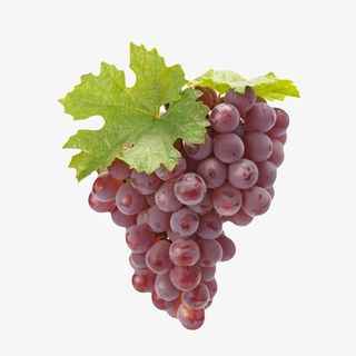 紫色带叶子的一扎葡萄实物免抠