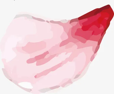 手绘花瓣PNG下载免抠