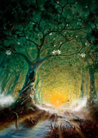 大树树洞高清壁纸免抠