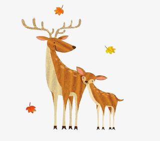 梅花鹿母子动物鹿角免抠图免抠