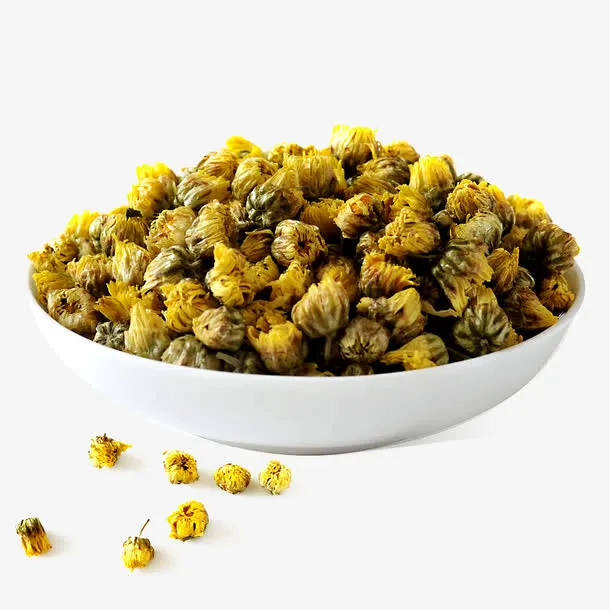 胎菊杭白菊PNG素材免抠