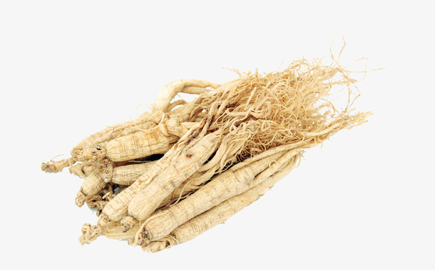 野山参实物素材免抠