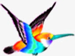 情人节多彩喜鹊免抠