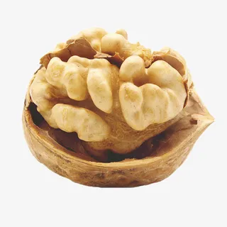 核桃，大核桃，核桃仁，核桃鲜免抠