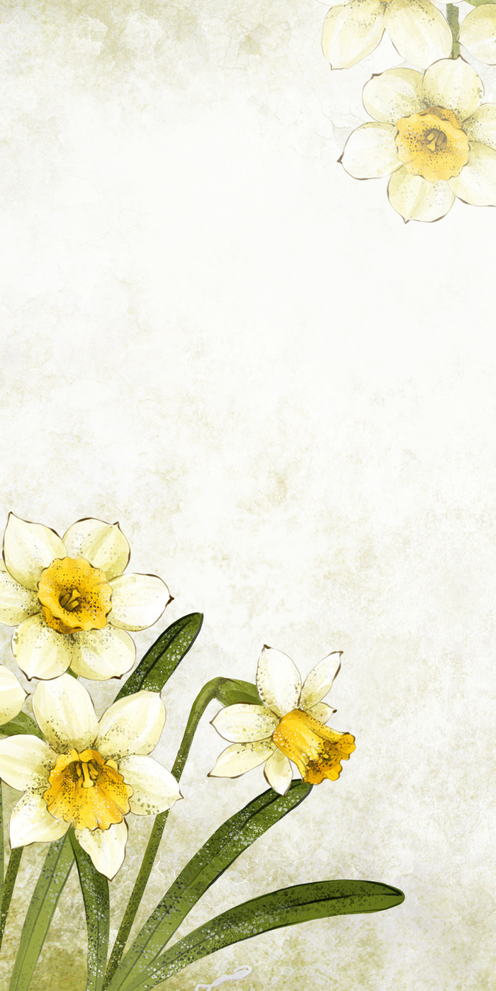 现代春天清新花卉美妆节电商海报背景高清