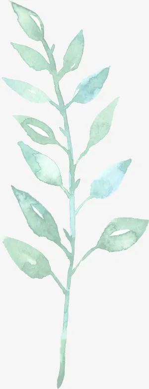 绿色水彩画草|树叶1免抠