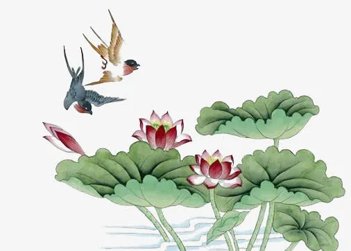 水墨荷花免抠