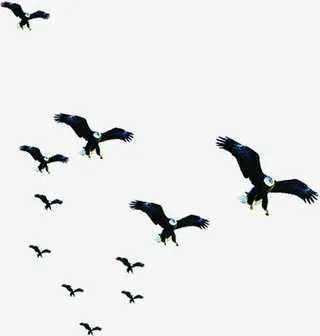 黑色纷飞大雁水墨免抠